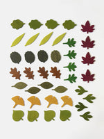 Load image into Gallery viewer, Woodland Leaves
