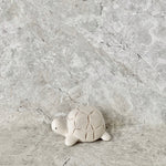 Load image into Gallery viewer, Pole Pole Tortoise T-Lab